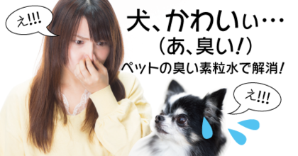 犬、かわいぃ…（え？臭い！） 〜ペットの臭い素粒水で解消！