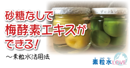 砂糖なしで梅酵素エキスができる！