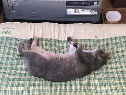 57.立ち止まってみるのも大事