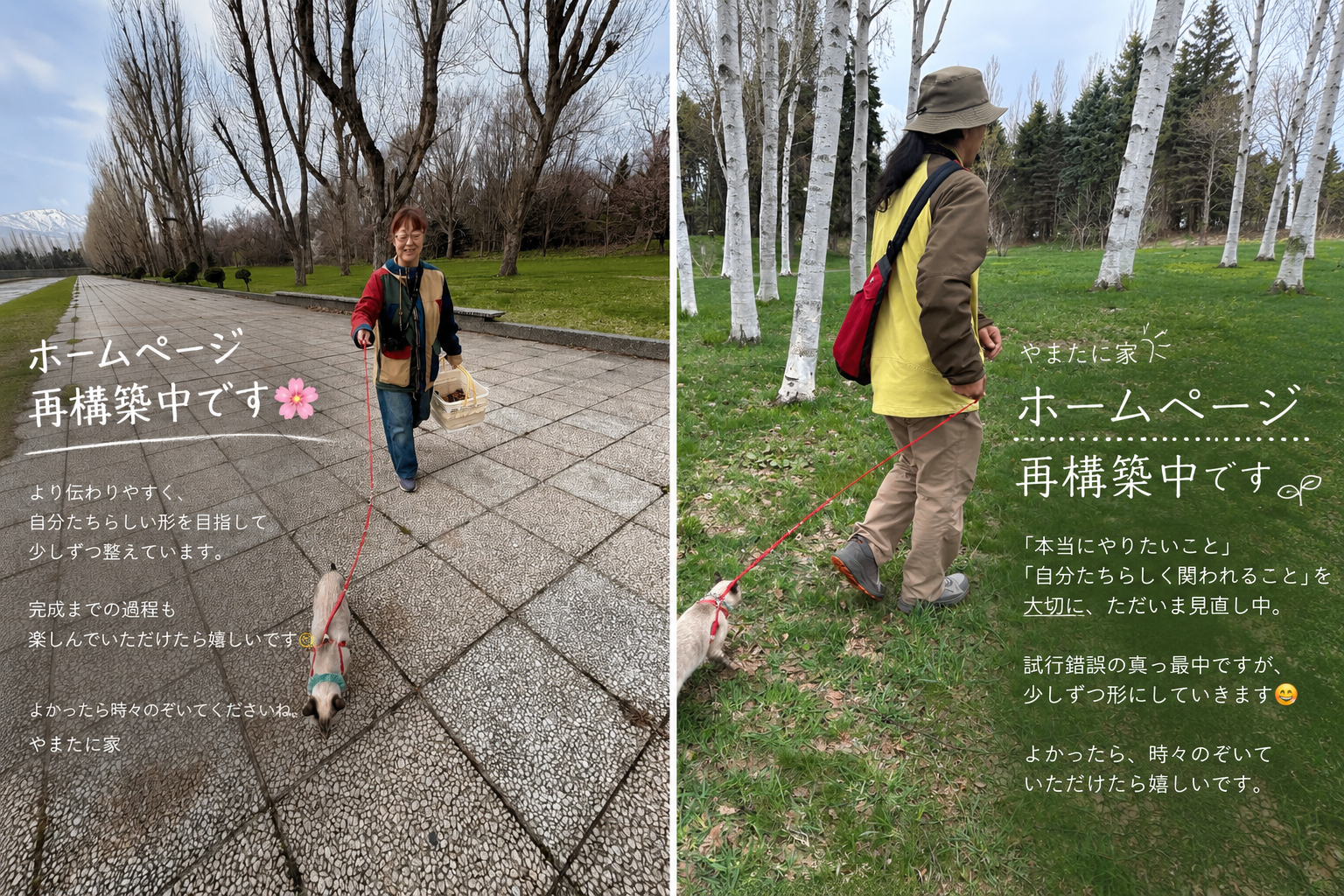 ホームページ、再構築中です😊🌿