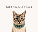 私は木であり、鳥でもある。〜火おこし通信 vol.0を作りました〜