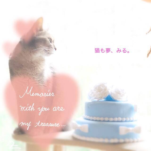 しあわせな働き方